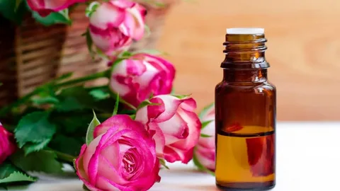 تصویر 3 از گلاب مذهبی با عطر خالص و تازگی طبیعی